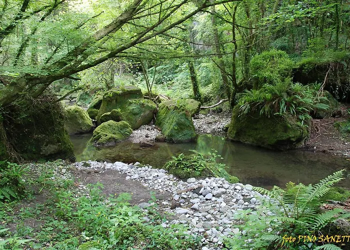 Bed and breakfast La Ripa 3*